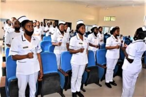 Which nursing schools in Nigeria are selling forms for?