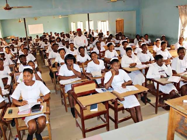 Which nursing schools in Nigeria are selling forms for?