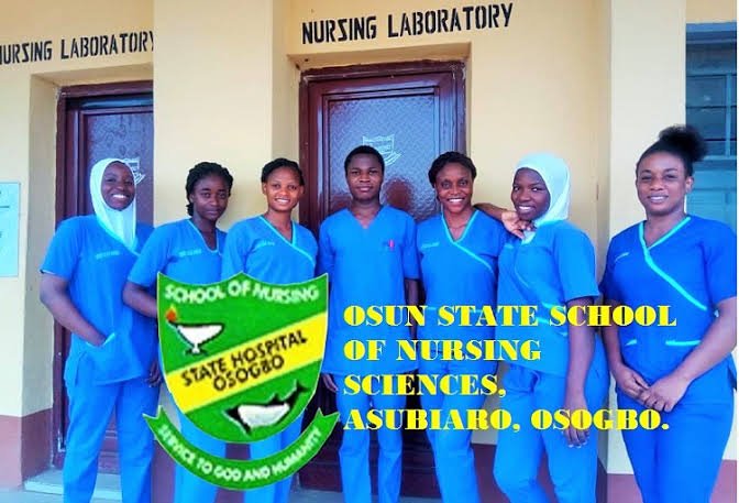 Osun State School of Nursing Requirements (2024/2025)