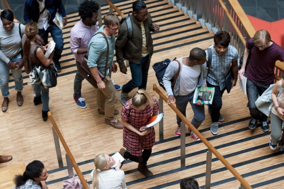 College Enrollment Statistics and Trends