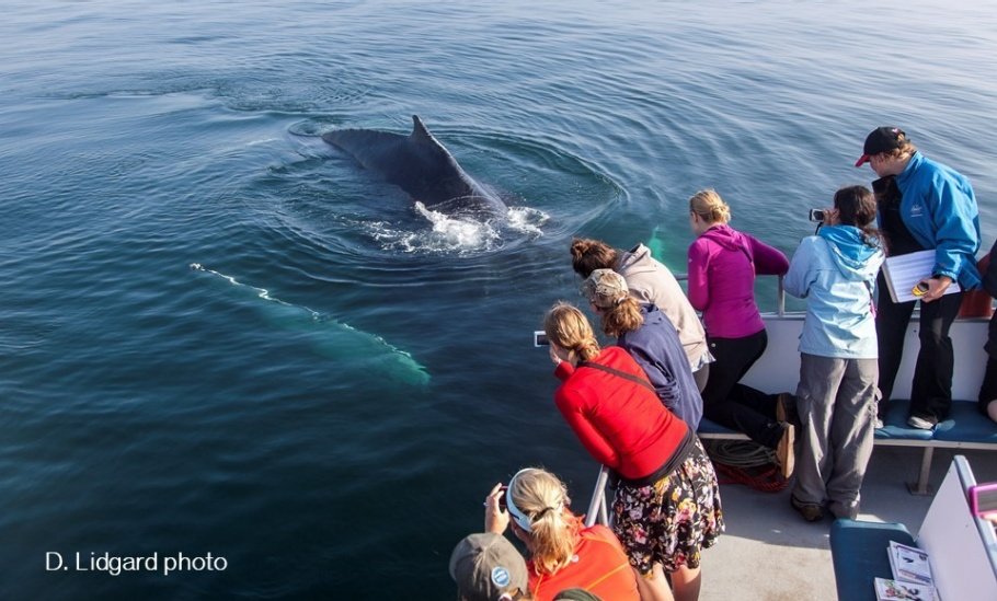 Marine Biology Universities in Canada