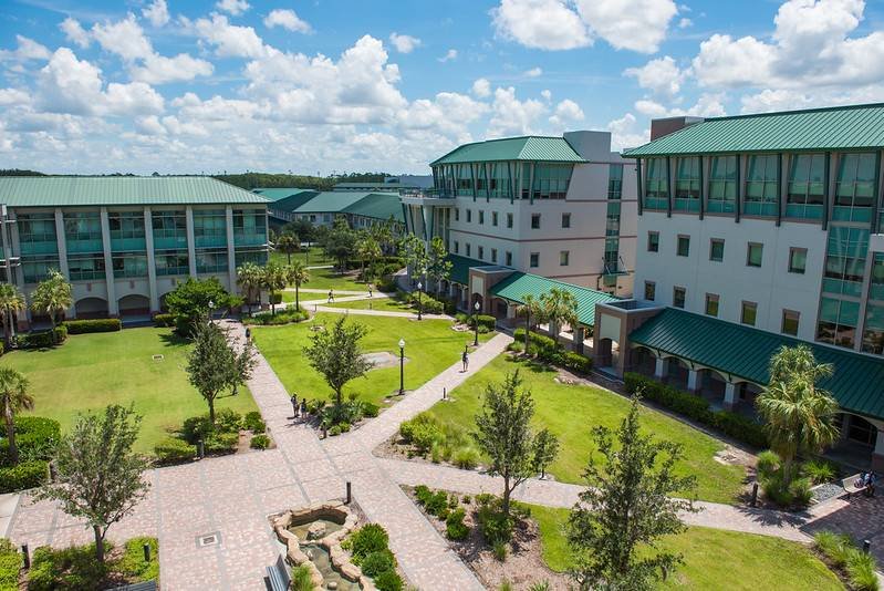 Florida Gulf Coast University Online Programs