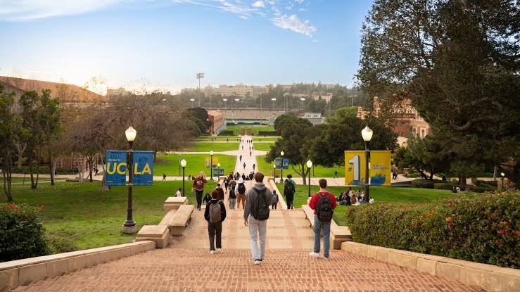 University of California Los Angeles Scholarship